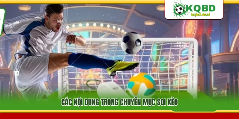 Những nội dung chính có trong mục soi kèo